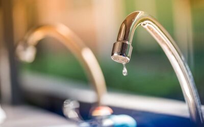 4 Easy Ways to Save Water (And Money!)