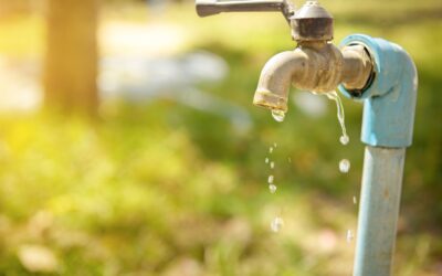 5 Common Summer Plumbing Issues and How to Fix Them